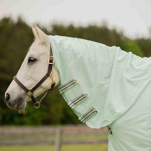 Equinavia Brisk Fly Sheet w/Detachable Neck - Misty Jade