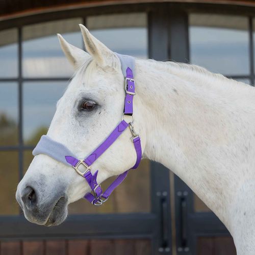 Equinavia Saga Fleece Padded Breakaway Halter - Deep Lavender/Slate Grey