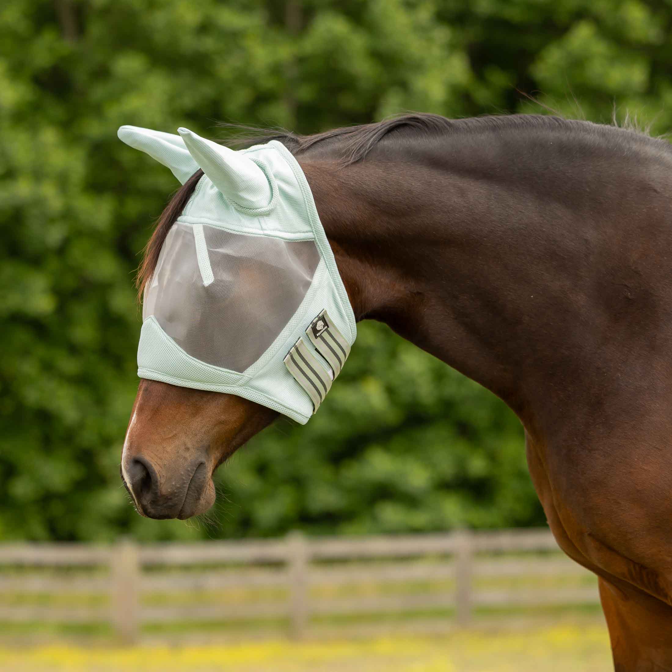 Equinavia Algard Soft Mesh Fly Mask - Misty Jade - Equinavia-E22012 ...