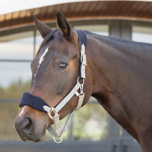 Equinavia Saga Fleece Padded Breakaway Halter - Light Olive/Black