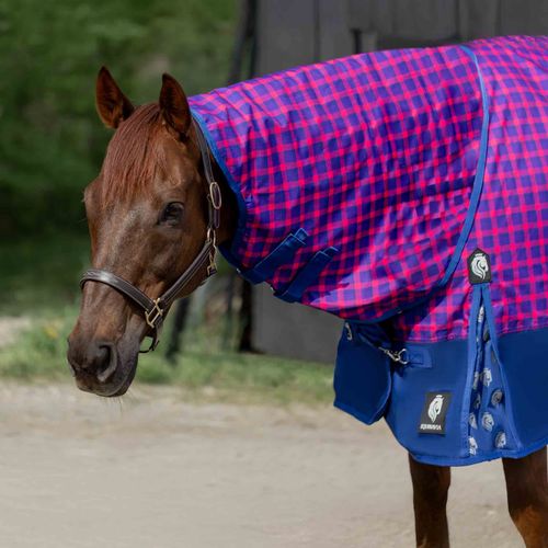 Equinavia Norse Turnout Sheet - Galaxy Blue/Pink Flambe