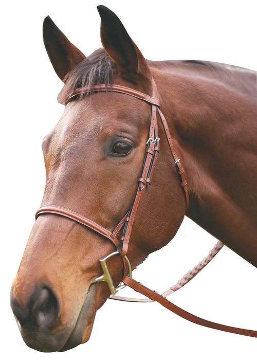 BARN BUSTER: Henri de Rivel Advantage Plain Raised Snaffle Bridle w/Laced Reins - Pony - Oakbark