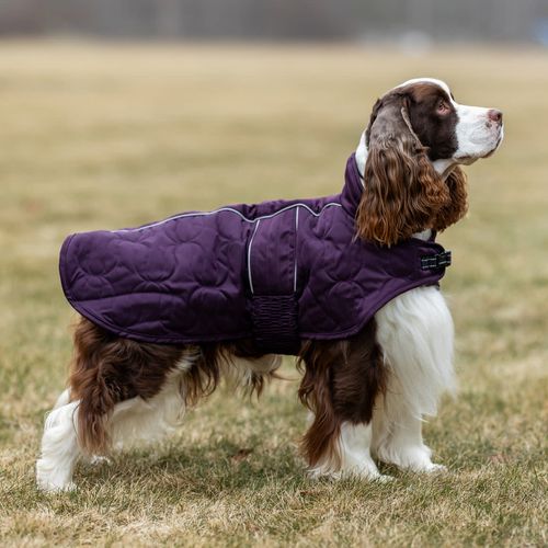 SALE RACK: Back on Track Deep Nights Dog Coat - 82cm - Plum