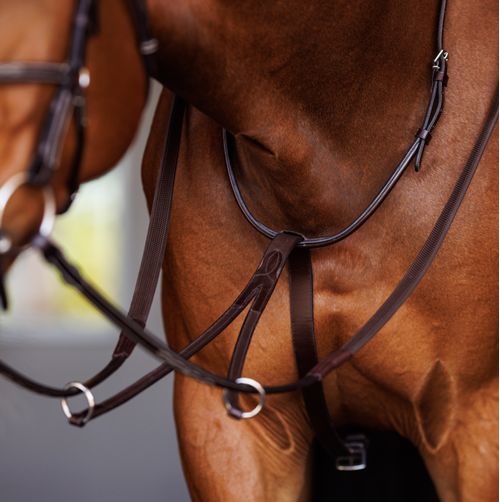 SALE RACK: Shires Velociti Fancy Square Raised Running Martingale - Cob - OakBark