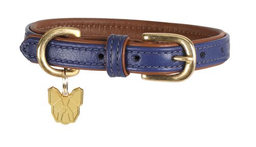 BARN BUSTER: Digby & Fox Padded Leather Dog Collar - X Large - Navy