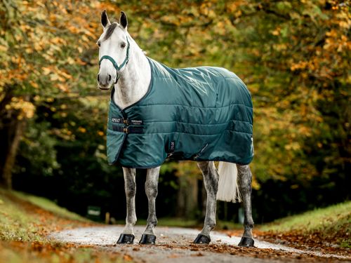 BARN BUSTER: Amigo Diamond Insulator 100g - 78 - Dynasty Green/Navy/Silver