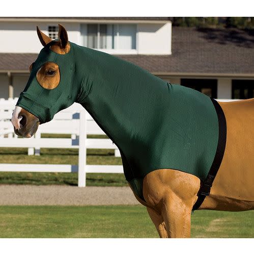 OVERSTOCK: Flex Rider Stretchies Hood - Medium - Green