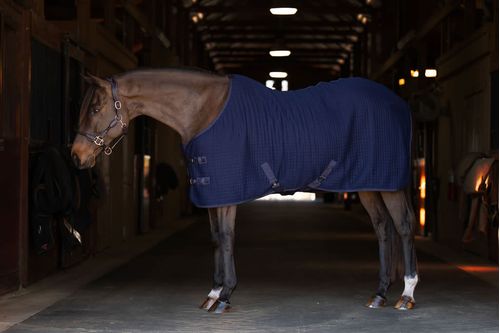 SALE RACK: TuffRider ThermoManager Stable Blanket - 81 - Navy