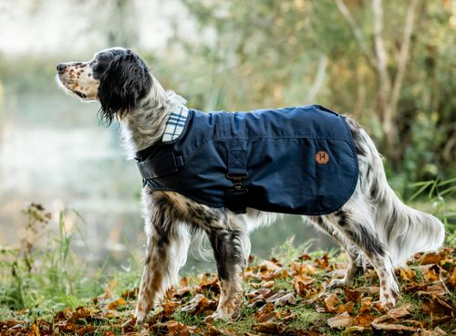 SALE RACK: Horseware Newmarket Heritage Dog Coat - XX Large - Navy/Witney Navy