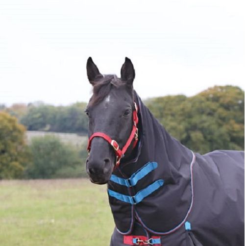 SALE RACK: Shires Highlander Plus 200G Neck Cover - Medium - Navy