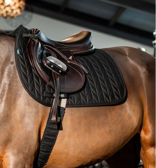 SALE RACK: Amigo Jump Saddle Pad - Cob/Horse - Black