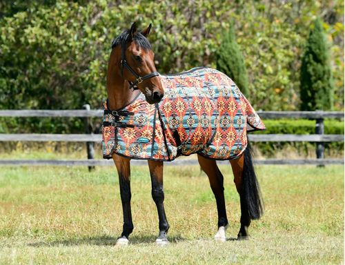 BARN BUSTER: Weatherbeeta Comfitec Essential Mesh II Standard Neck - 69 - Western Sunset Print