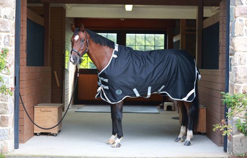 OVERSTOCK: Centaur TZERO Turnout Sheet - 69 - Black