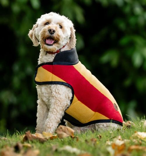 OVERSTOCK: Horseware Newmarket Dog Fleece - X Small - Witney Gold