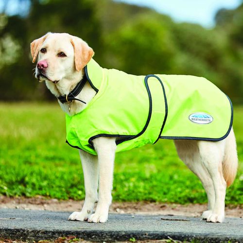 SALE RACK: Weatherbeeta Comfitec Windbreaker 420D Deluxe Dog Coat - 12 - Yellow/Black
