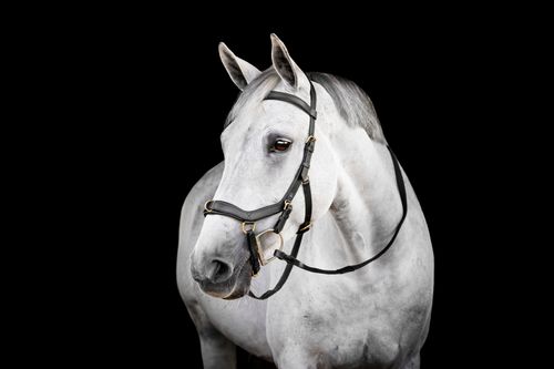 Horseware Micklem Multi Bridle - Black