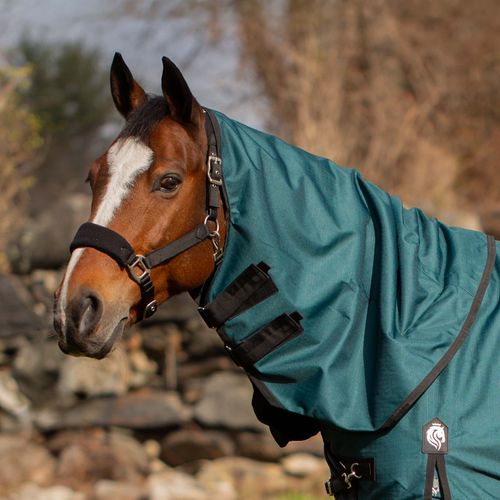 OVERSTOCK: Equinavia Arktis Turnout Neck Cover No Fill - X Large - Deep Green