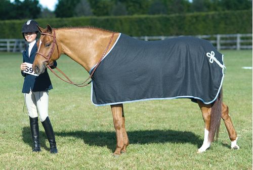 SALE RACK: Centaur Wool Dress Cooler - Pony - Navy/Lt Blue/Silver