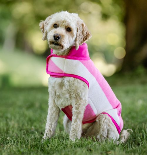 Horseware Newmarket Dog Fleece - Witney Pink