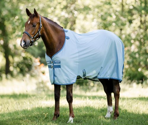 Amigo Bug Rug - Heather Blue/Blue/Silver