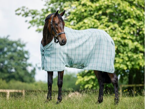 Horseware Newmarket Fly Sheet - Witney Dynasty