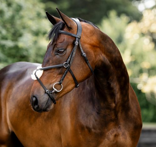 Horseware Figure 8 Grackle Bridle - Black