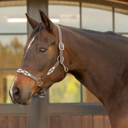 Equinavia Siri Polo Leather Halter - Brown/Lavender/Misty Jade