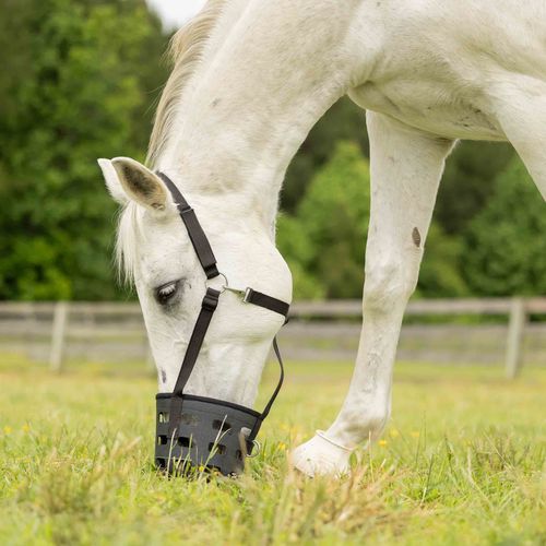 Equinavia Breakaway Grazing Muzzle - Black