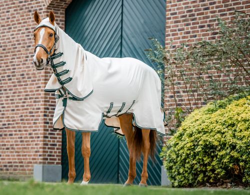 Rambo Pony Hoody - Chalk/Hunter Green/Silver