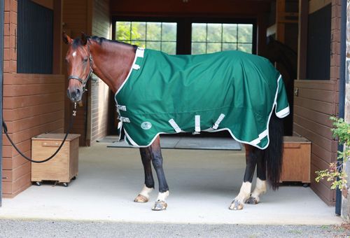 SALE RACK: Centaur TG1 Horse Blanket - 75 - Hunter