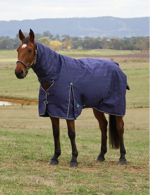 BARN BUSTER: Weatherbeeta Comfitec Prelim Turnout Combo 0g - 60 - Navy Embossed Plaid