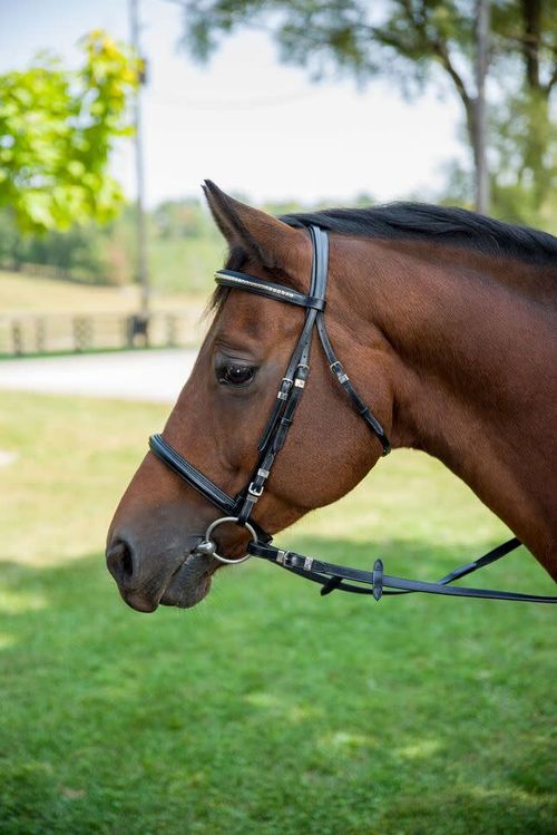 OVERSTOCK: Henri de Rivel Clincher Bridle - Cob - Black