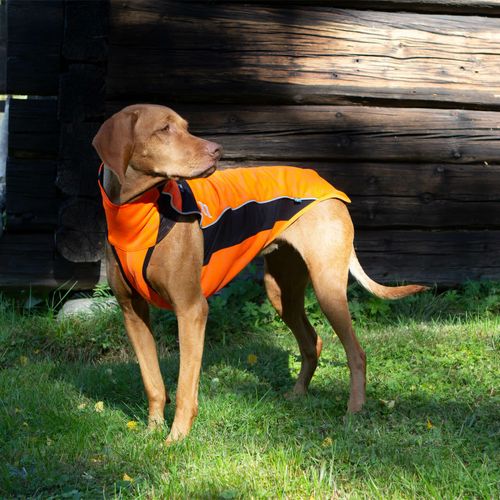 BARN BUSTER: Back on Track Eddie High Visibility Reflective Jumper - 65cm - Orange