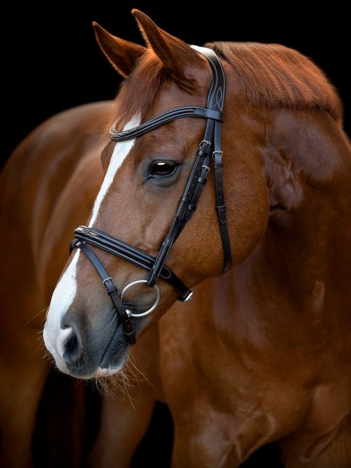 Catago Torina Bridle - Brown