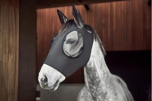 Catago Lycra Insect Mask - Asphalt