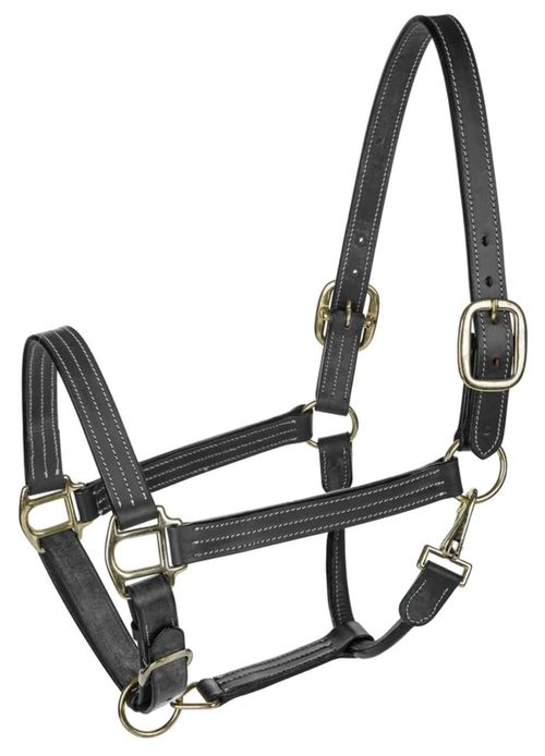 BARN BUSTER: Henri de Rivel Triple Stitched Halter - Cob - Black