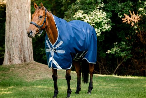 OVERSTOCK: Amigo 1200D Wug Turnout 50g - 78 - Navy/Titanium Grey/Silver