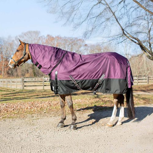 BARN BUSTER: Equinavia Thunder360 Detachable Neck Heavy Weight Turnout Blanket 300g - 81 - Plum Wine
