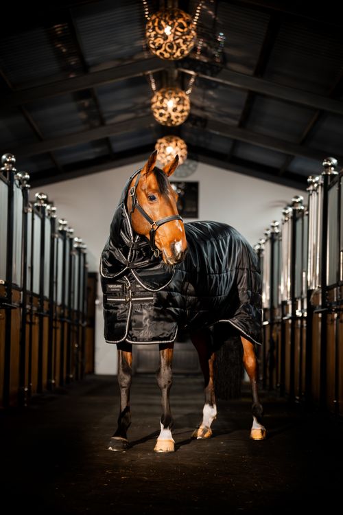 OVERSTOCK: Horseware Easy-Layer Stable Plus 400g - 78 - Black/Black/Silver