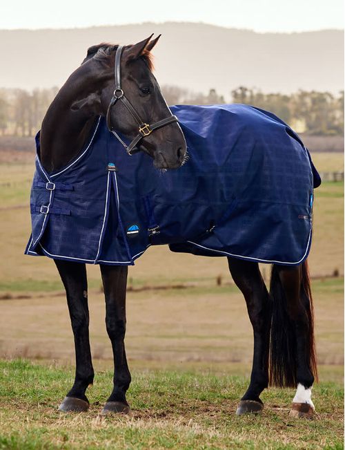 OVERSTOCK: Weatherbeeta Comfitec Prelim Turnout 360g - 75 - Navy Embossed Plaid