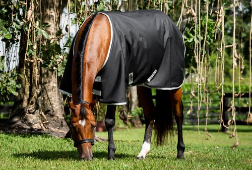 BARN BUSTER: Amigo Ripstop 900D Stock Horse Turnout 0g - 76 - Black/Silver