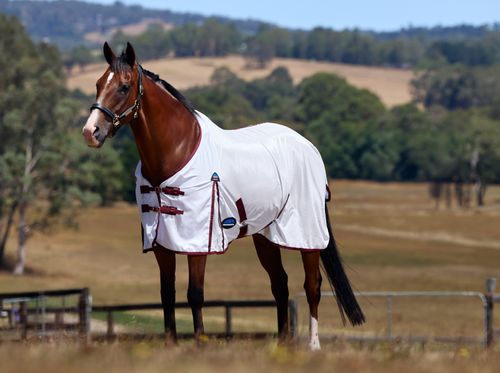 Weatherbeeta Comfitec Essential Fly Sheet - White/Burgundy