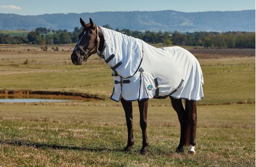 Weatherbeeta Hybrid Sheet Combo - White/Charcoal