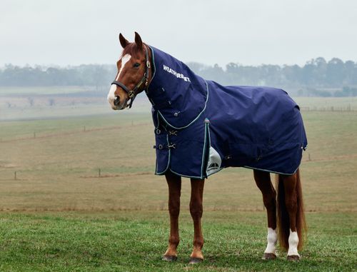 Weatherbeeta Comfitec Plus Dynamic Turnout Detach-A-Neck 100G - Navy/Forest Green