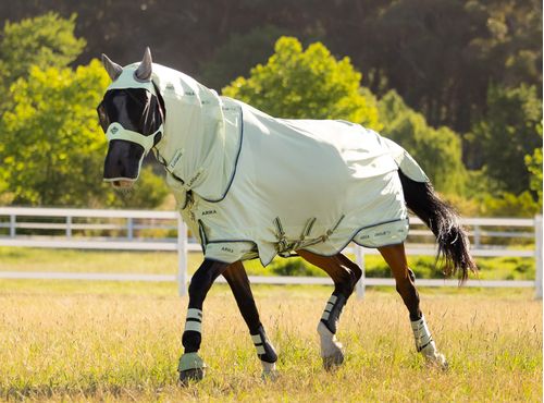 LeMieux Arika ArmourTek Fly Rug - Macaron