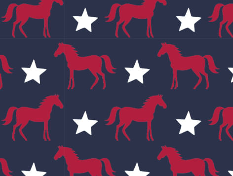 Equistar Kids' Pony Star Crew Sock - Navy