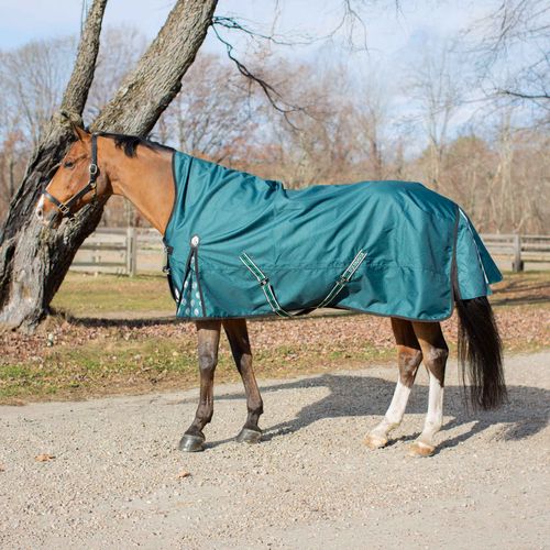 SALE RACK: Equinavia Arktis Extended Neck Heavy Weight Turnout Blanket 300g - 75 - Deep Green