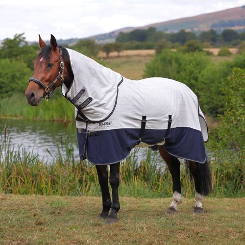 Shires Tempest Original Summer Shield Set - White