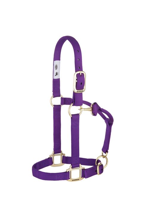 Weaver Original Adjustable Halter - Purple