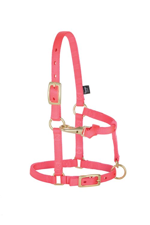 Weaver Miniature 5/8" Original Adjustable Halter - Diva Pink